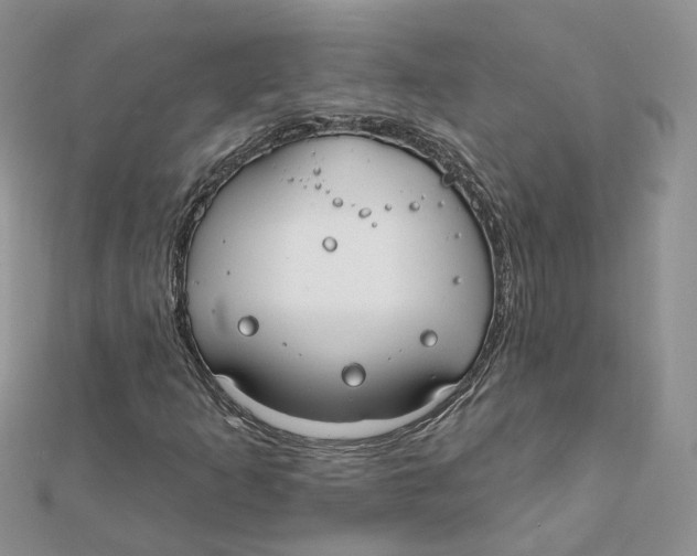 X0000112061253200909010955