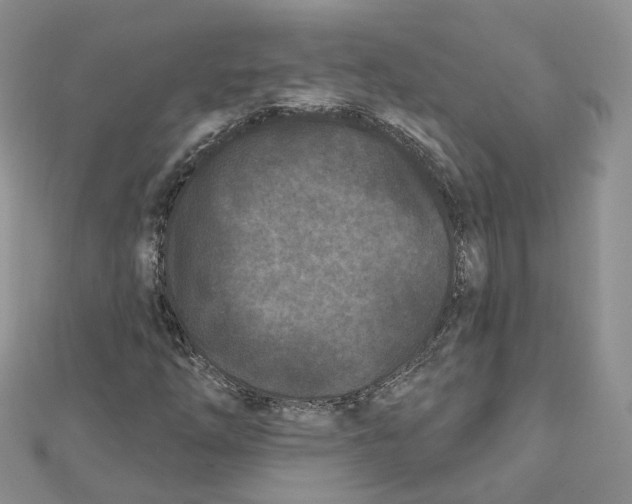 X0000112061254200909010955