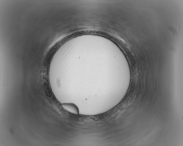 X0000112061255200909010955