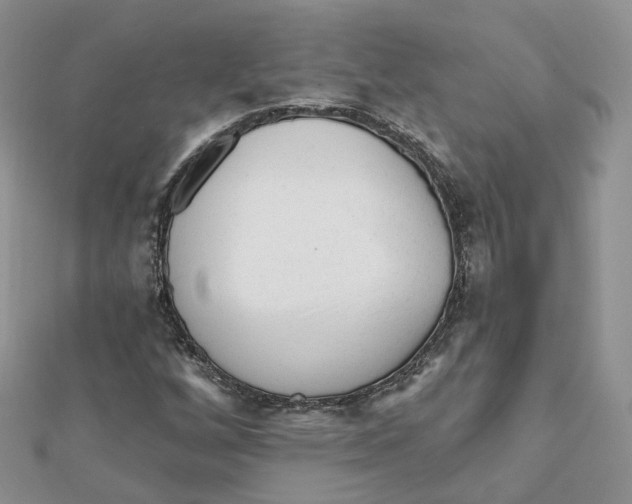 X0000112061256200909010955