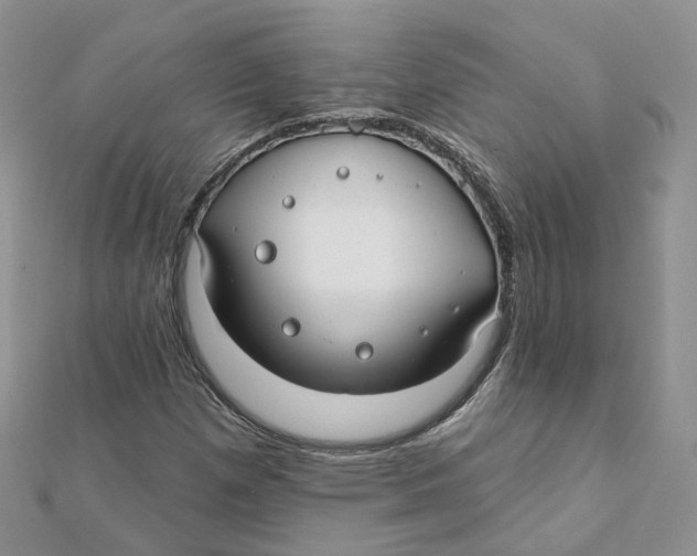 X0000112061257200909010955