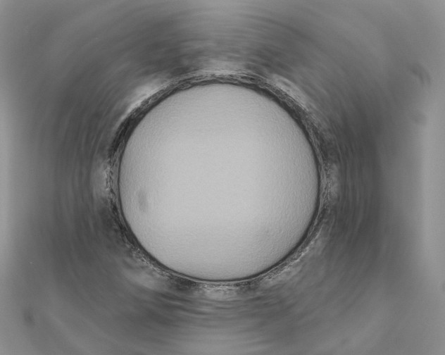 X0000112061258200909010955