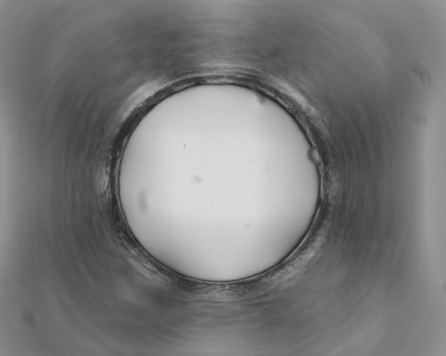 X0000112061259200909010955