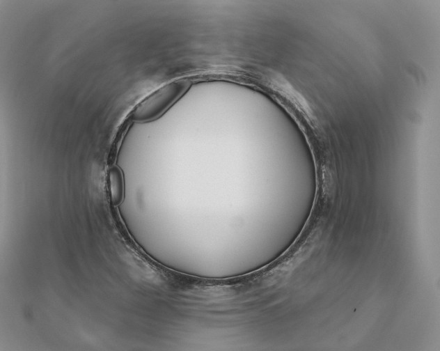 X0000112061260200909010955