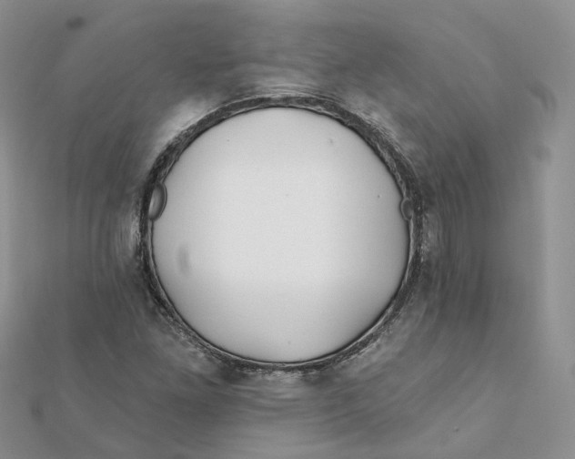 X0000112061261200909010955