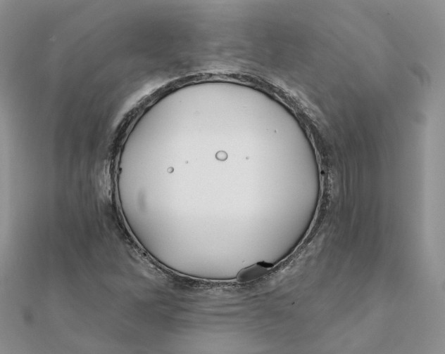 X0000112061262200909010955