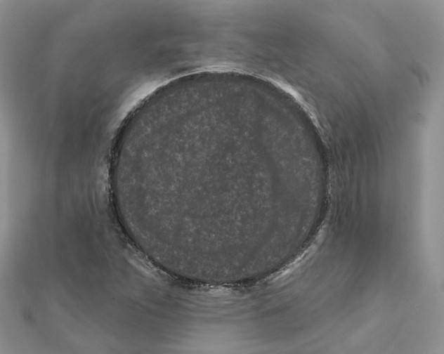 X0000112061263200909010955