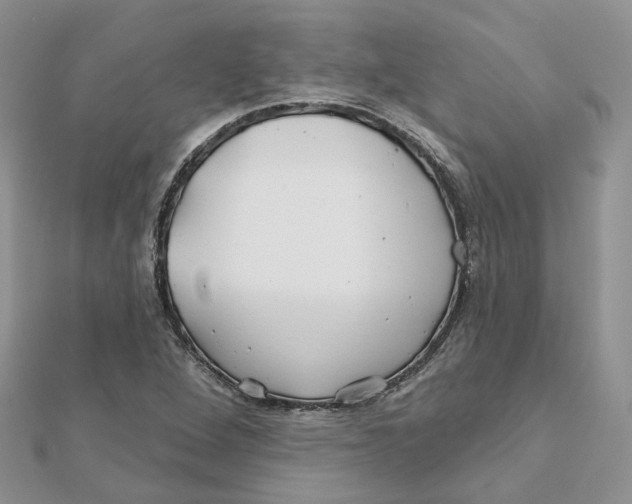 X0000112061264200909010955