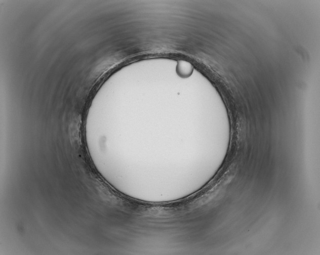 X0000112061265200909010955