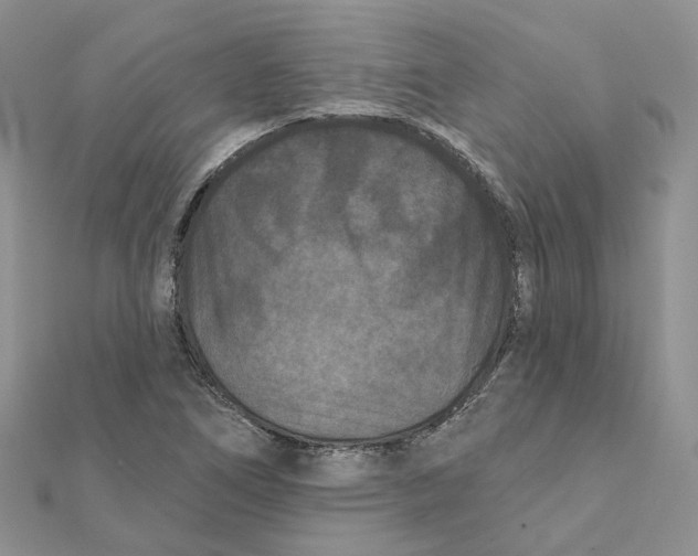 X0000112061266200909010955