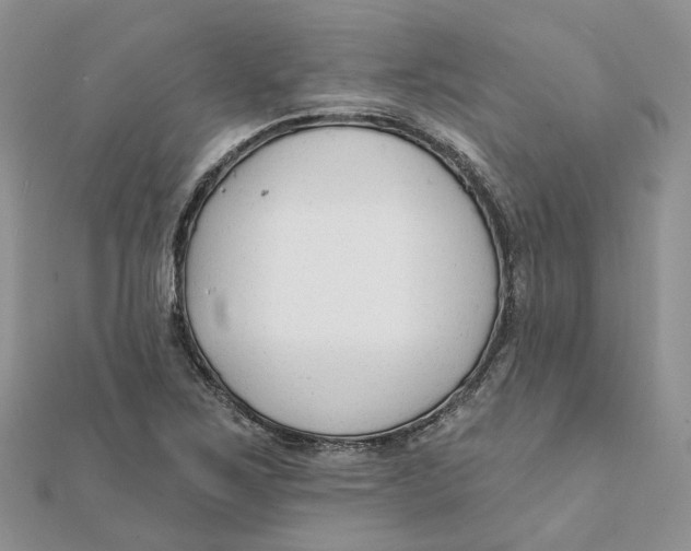 X0000112061267200909010955