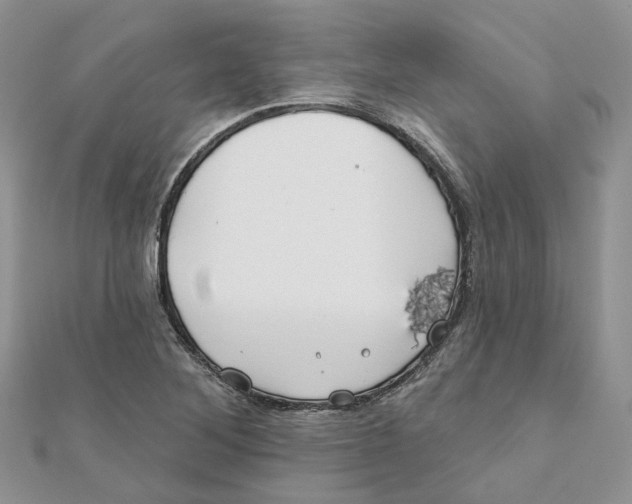 X0000112061268200909010955