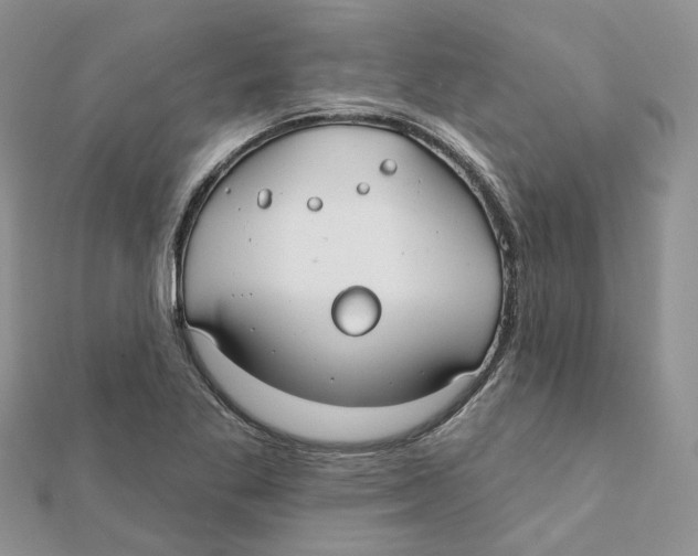 X0000112061269200909010955