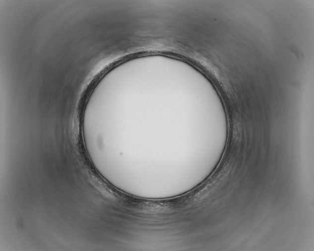 X0000112061270200909010955