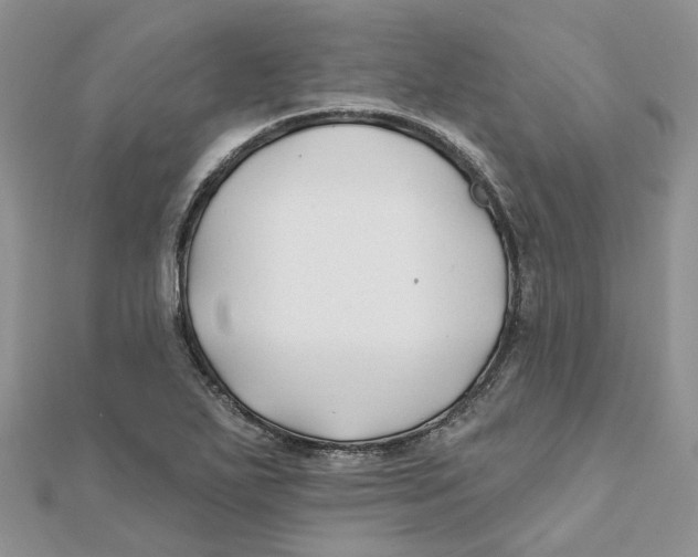 X0000112061271200909010955