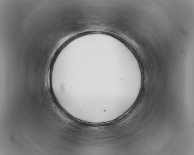 X0000112061272200909010955