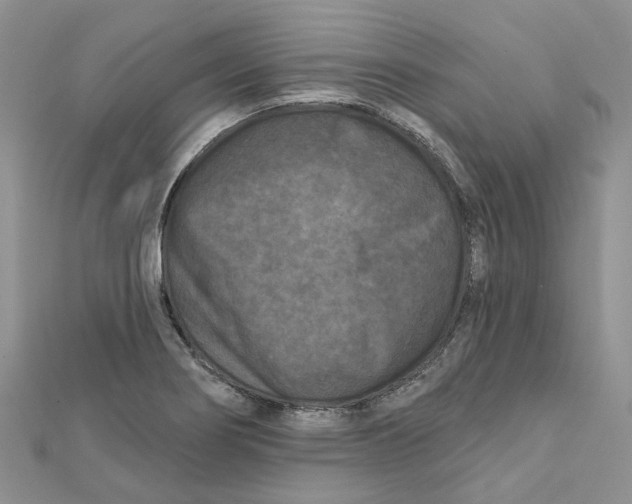 X0000112061274200909010955