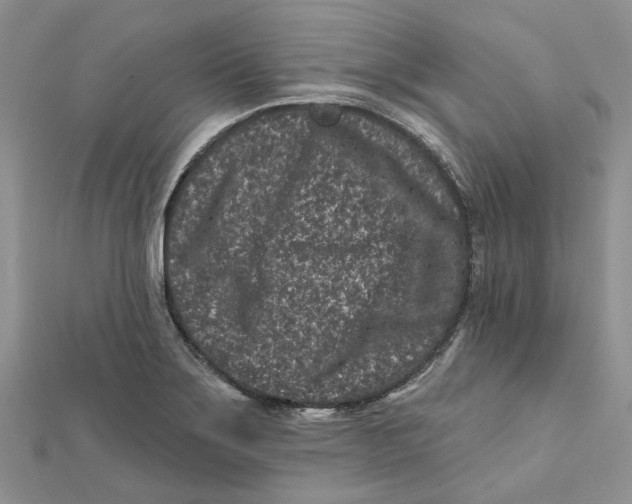 X0000112061275200909010955