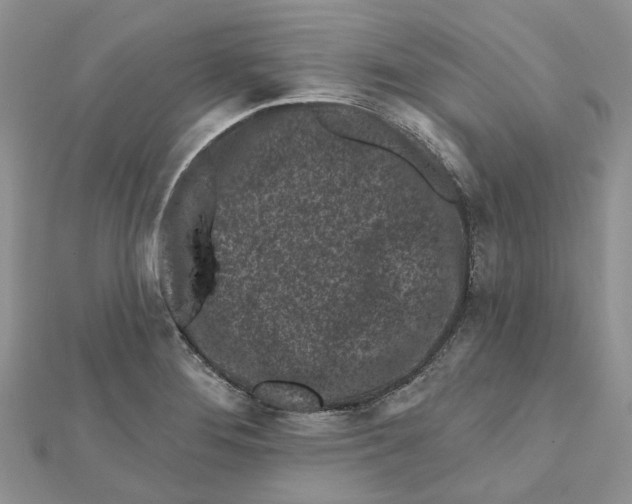 X0000112061276200909010955