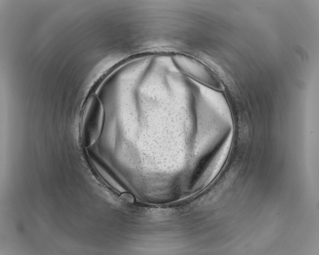 X0000112061277200909010955