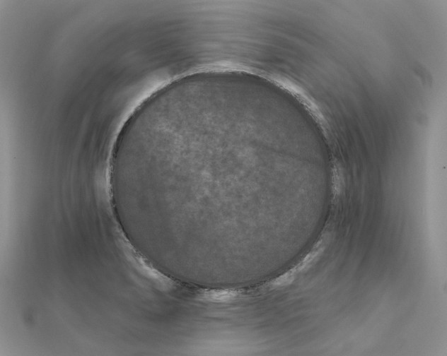 X0000112061278200909010955