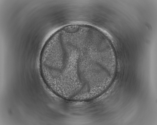 X0000112061279200909010955