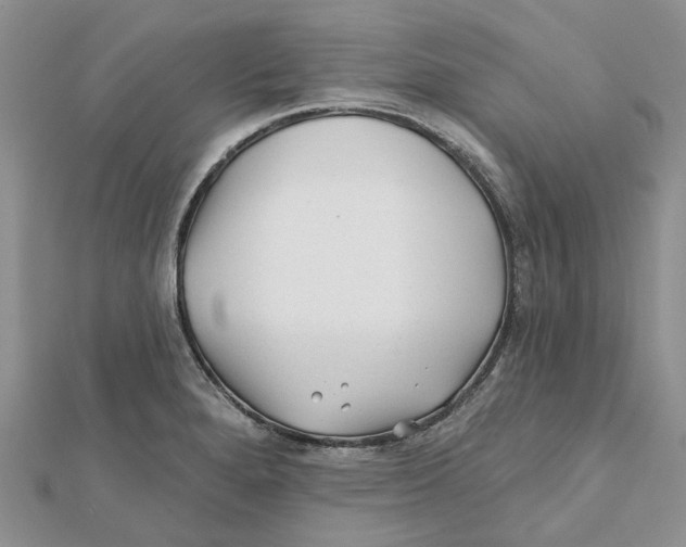 X0000112061280200909010955