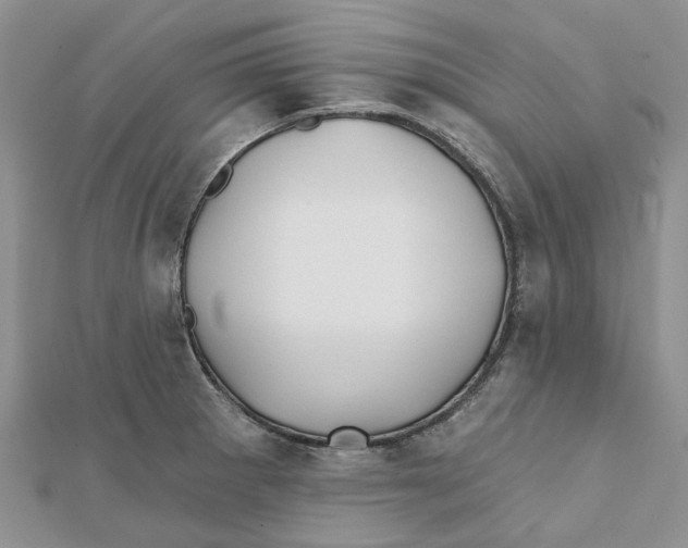 X0000112061281200909010955