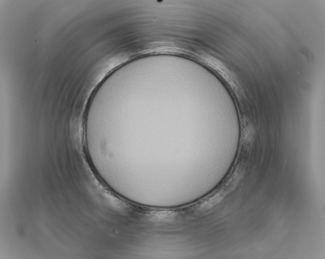 X0000112061282200909010955