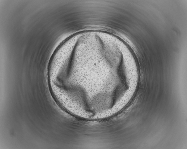 X0000112061283200909010955