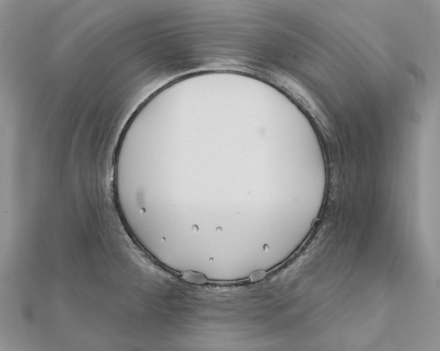 X0000112061284200909010955