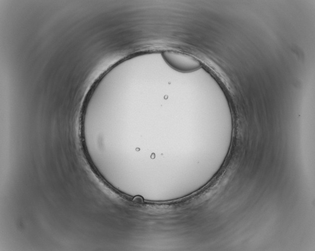 X0000112061285200909010955