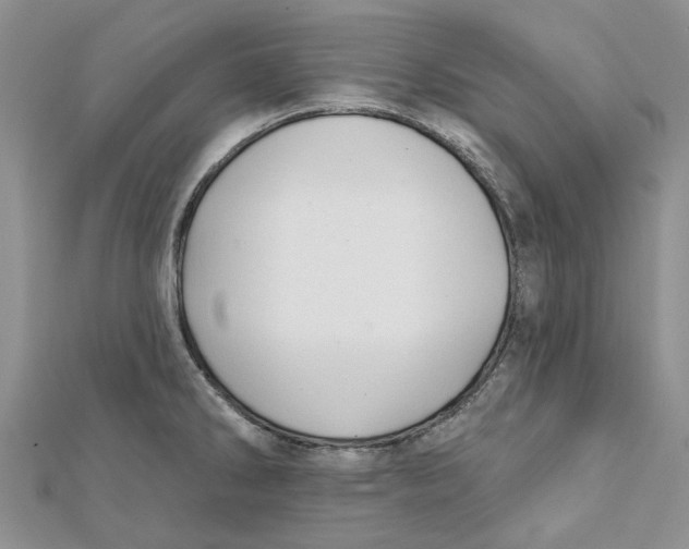 X0000112061286200909010955