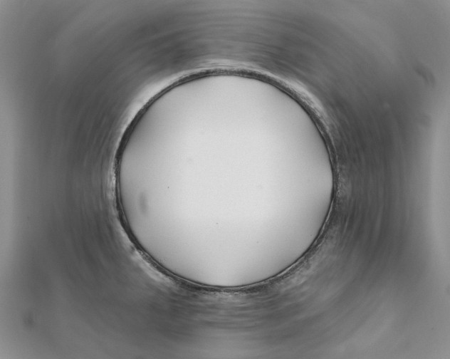 X0000112061287200909010955