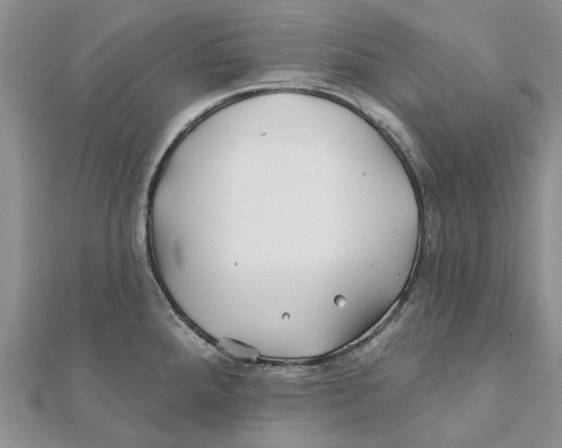 X0000112061288200909010955