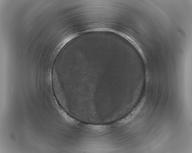 X0000112061289200909010955