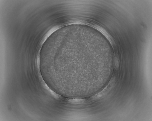 X0000112061290200909010955