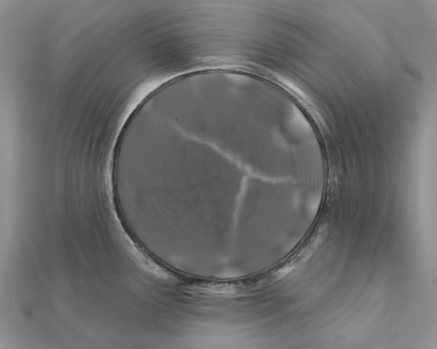 X0000112061291200909010955