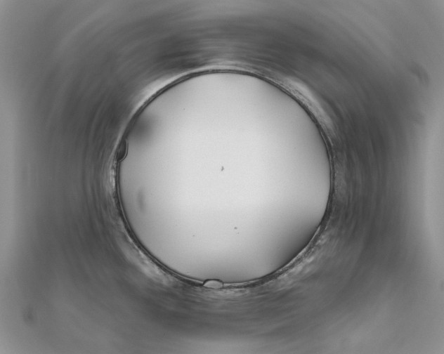 X0000112061292200909010955