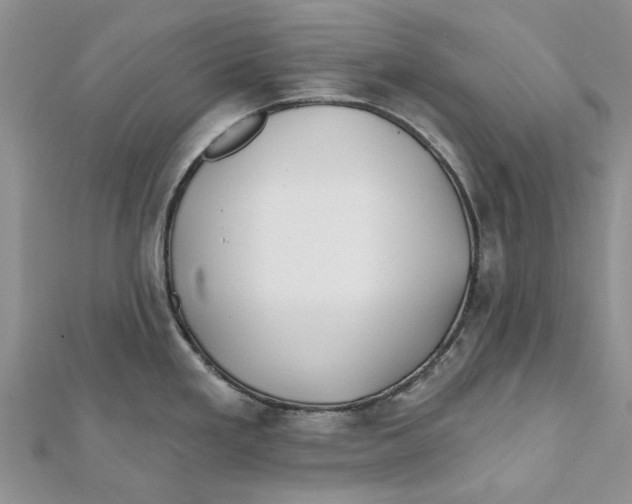 X0000112061293200909010955