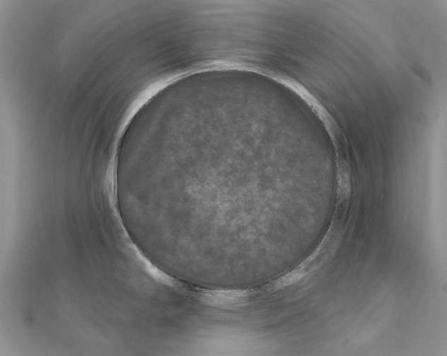 X0000112061294200909010955