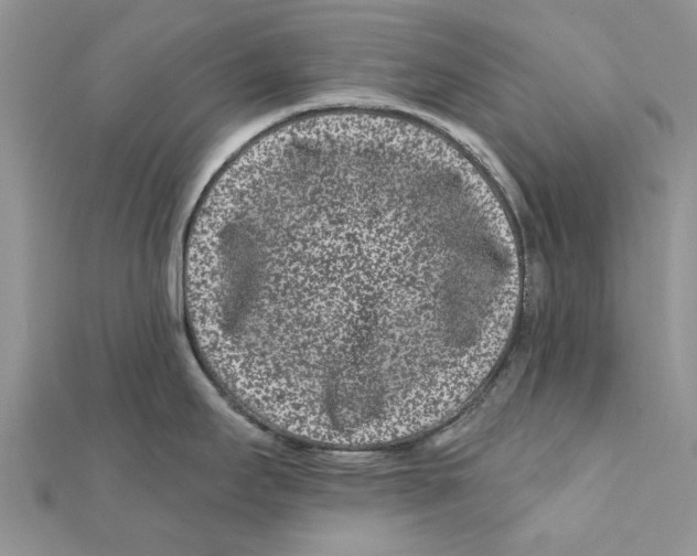 X0000112061295200909010955