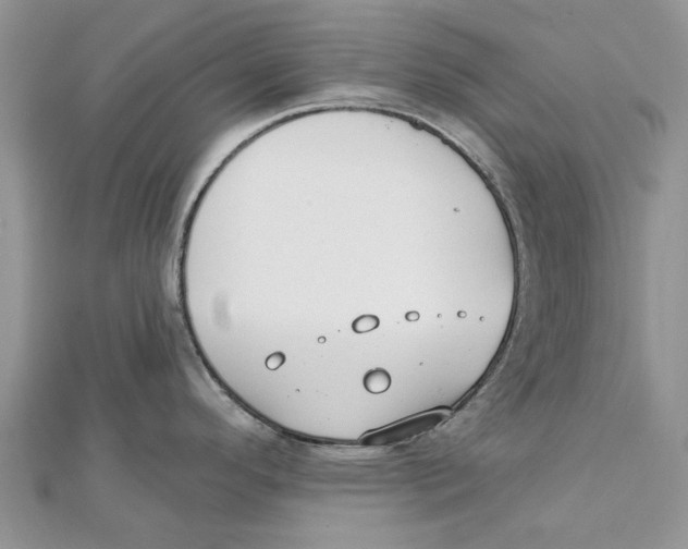 X0000112061296200909010955