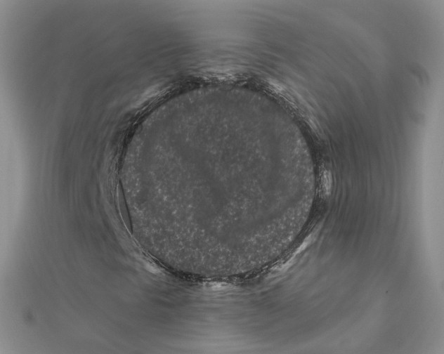 X0000112061297200909010954