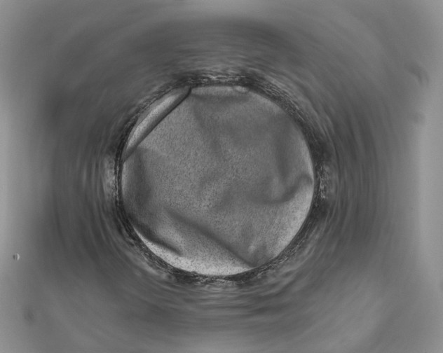 X0000112061298200909010954