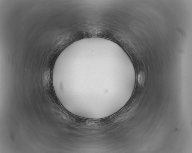 X0000112061299200909010954