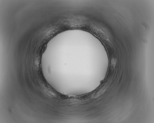 X0000112061300200909010954