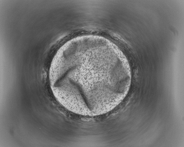 X0000112061302200909010954