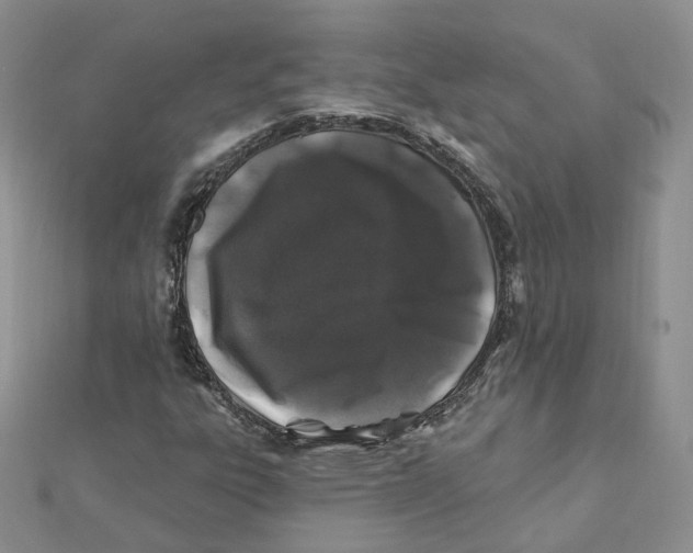 X0000112061303200909010954