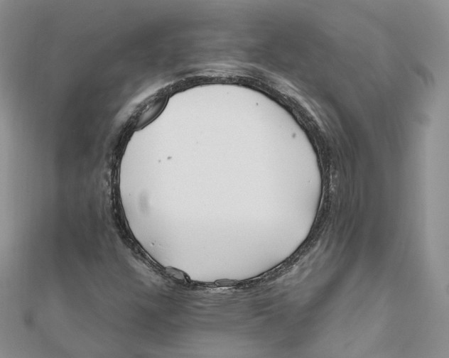 X0000112061304200909010954